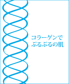 コラーゲンで綺麗になろう トップ